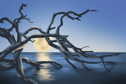 长流水命的人最适合什么样的伴侣,第2张 长流水命的人最适合什么样的伴侣,第2张